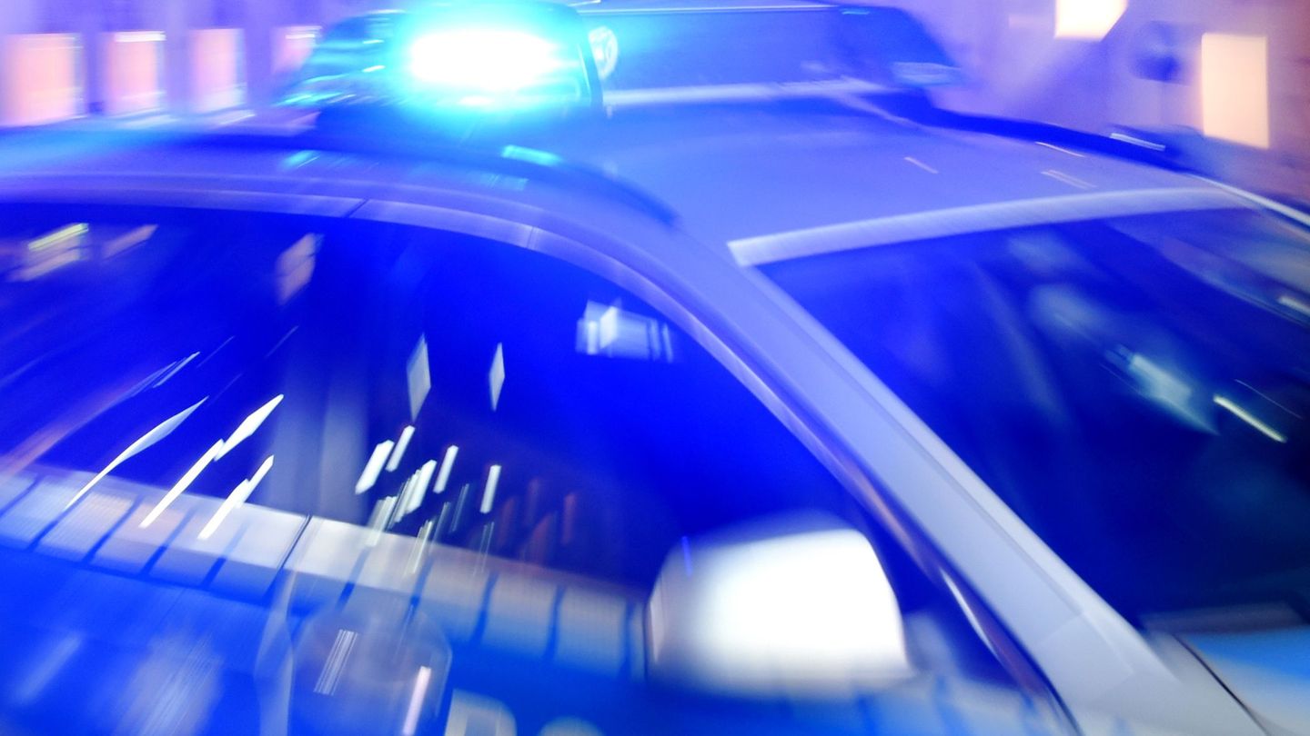 Main-Tauber-Kreis: Kinder finden beim Spielen tote Waschbären