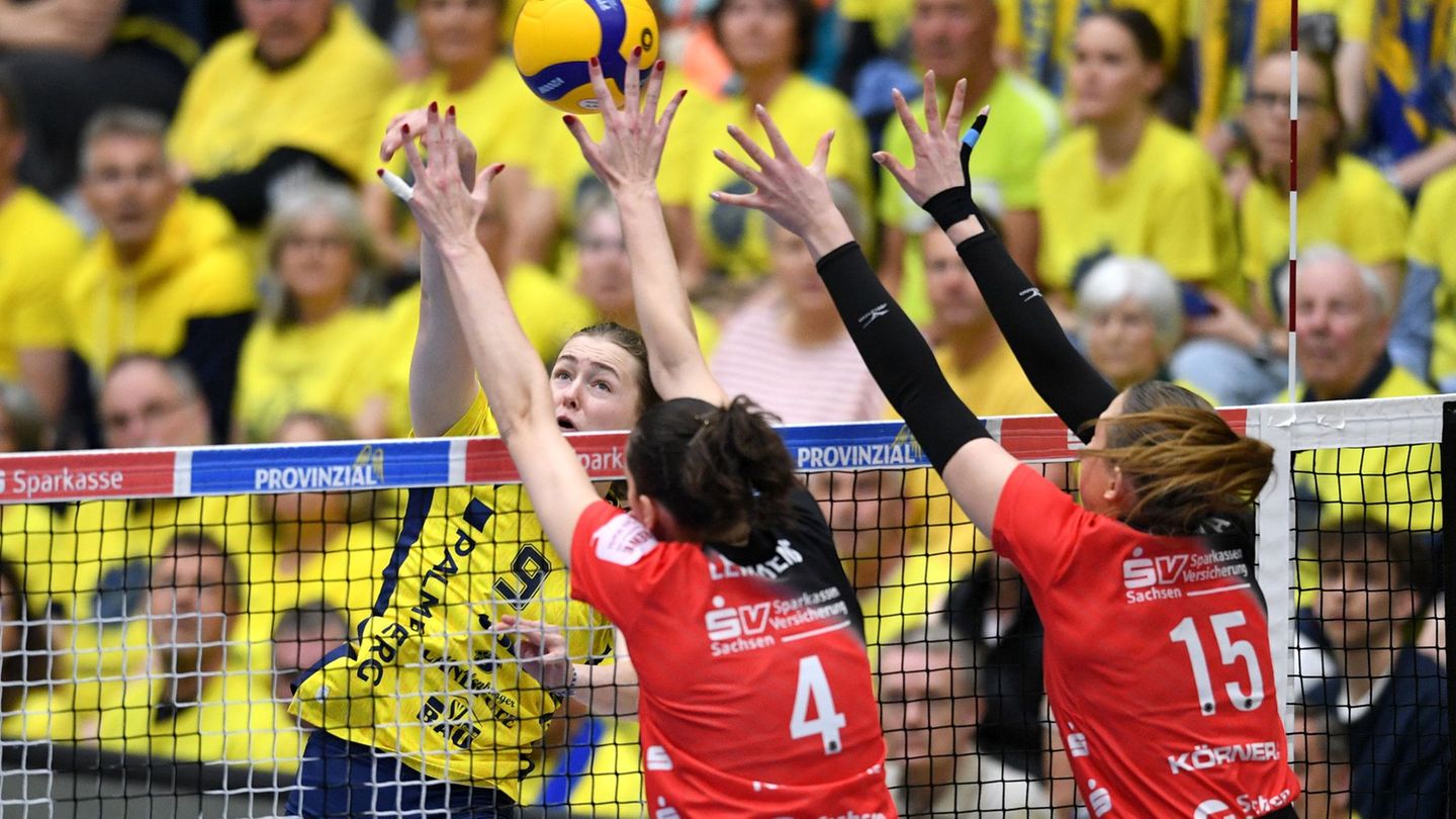 Volleyball-Bundesliga: Schwerin nimmt in Dresden Kurs auf die Meisterschaft