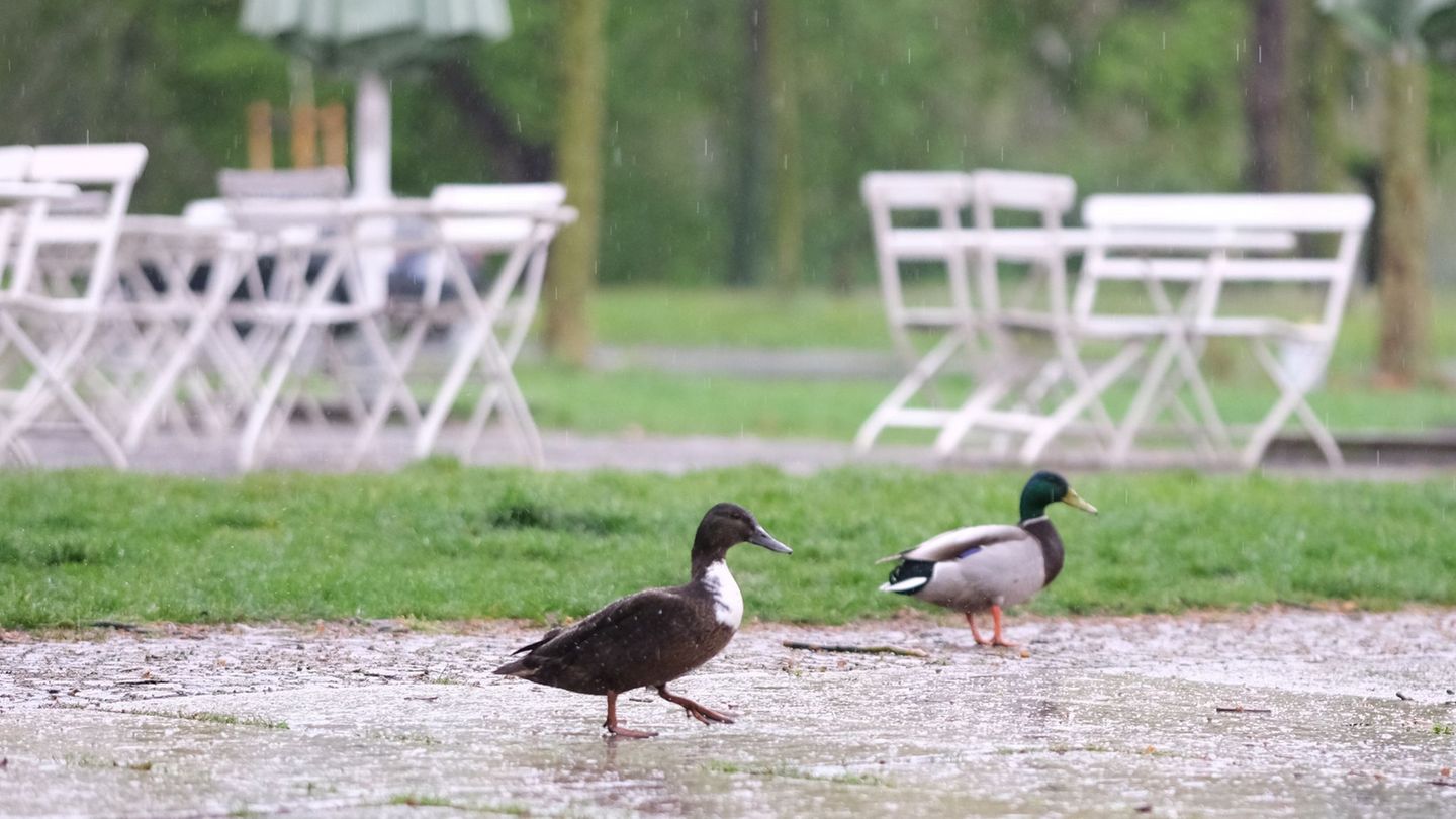 Vorhersage: Regenwetter und vereinzelte Gewitter in Sachsen