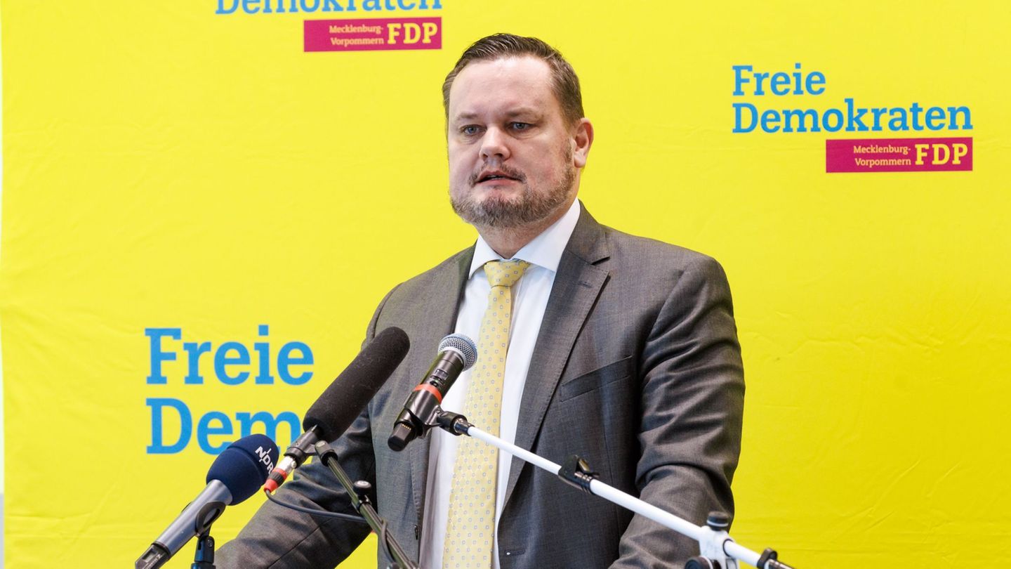 FDP-Vorstandswahl: René Domke als FDP-Landeschef wiedergewählt