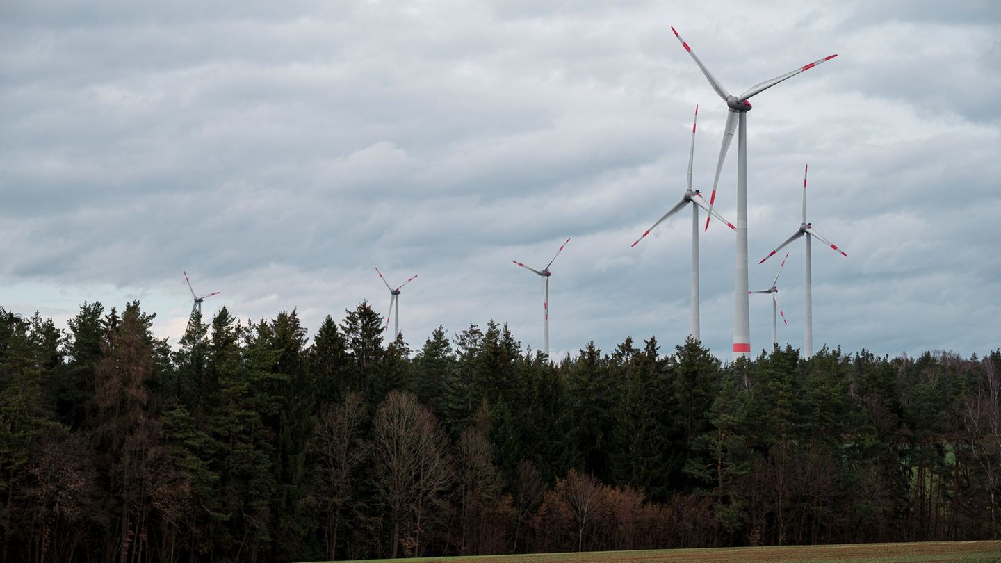 Erneuerbare Energien: Bis zu 22 neue Windräder in Staatsforsten auf dem Weg