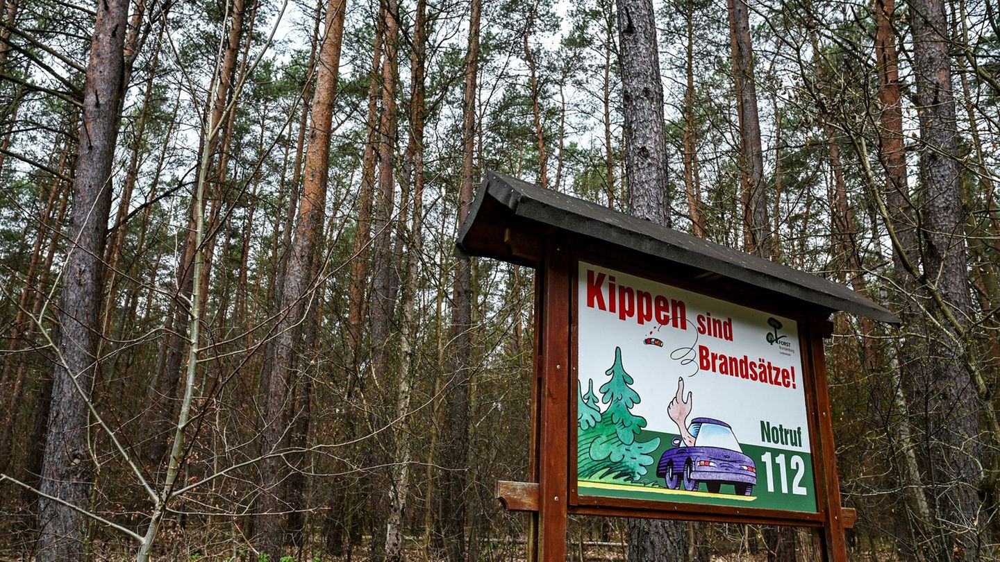 Natur: Hohe Waldbrandgefahr in ganz Brandenburg