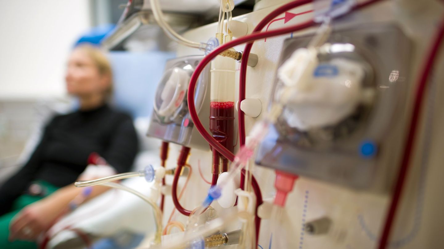 Dialyse: Nierenleiden in Mecklenburg-Vorpommern besonders häufig