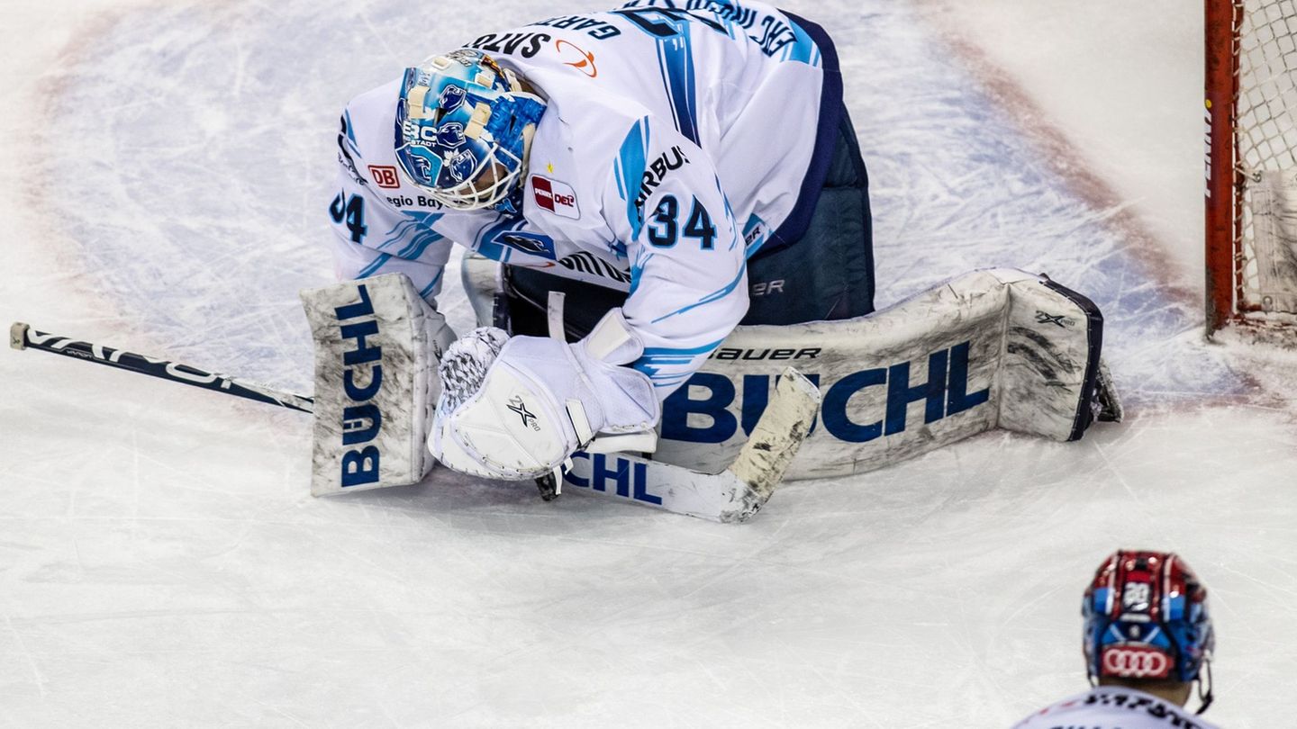 Deutsche Eishockey Liga: Augsburg lockt Torwart Garteig aus Ingolstadt weg