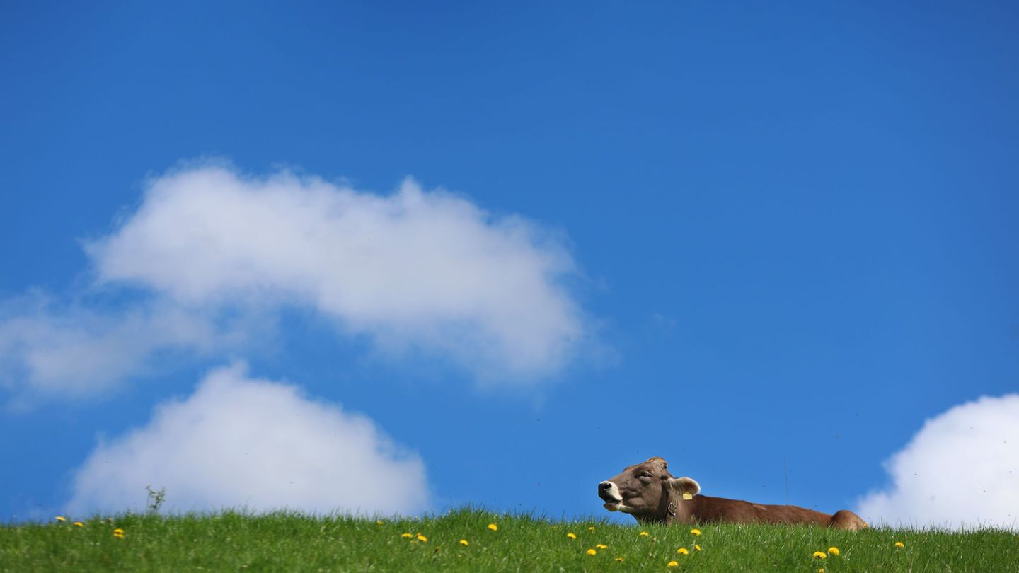 Vorhersage: Zweigeteiltes Wetter: viel Sonne und Gewitter