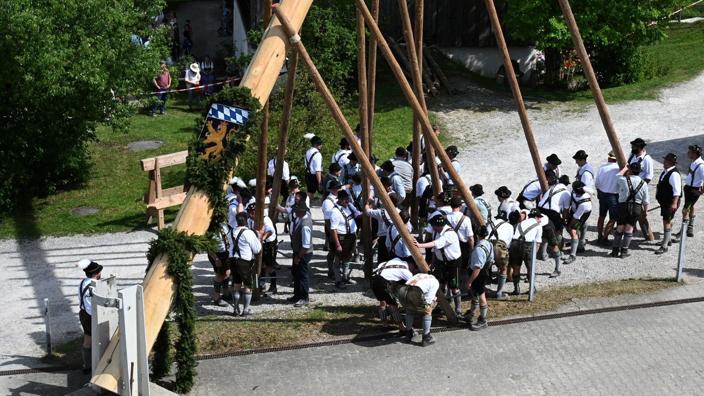 Brauchtum: Maibaum von Brüssel bis zur Zugspitze