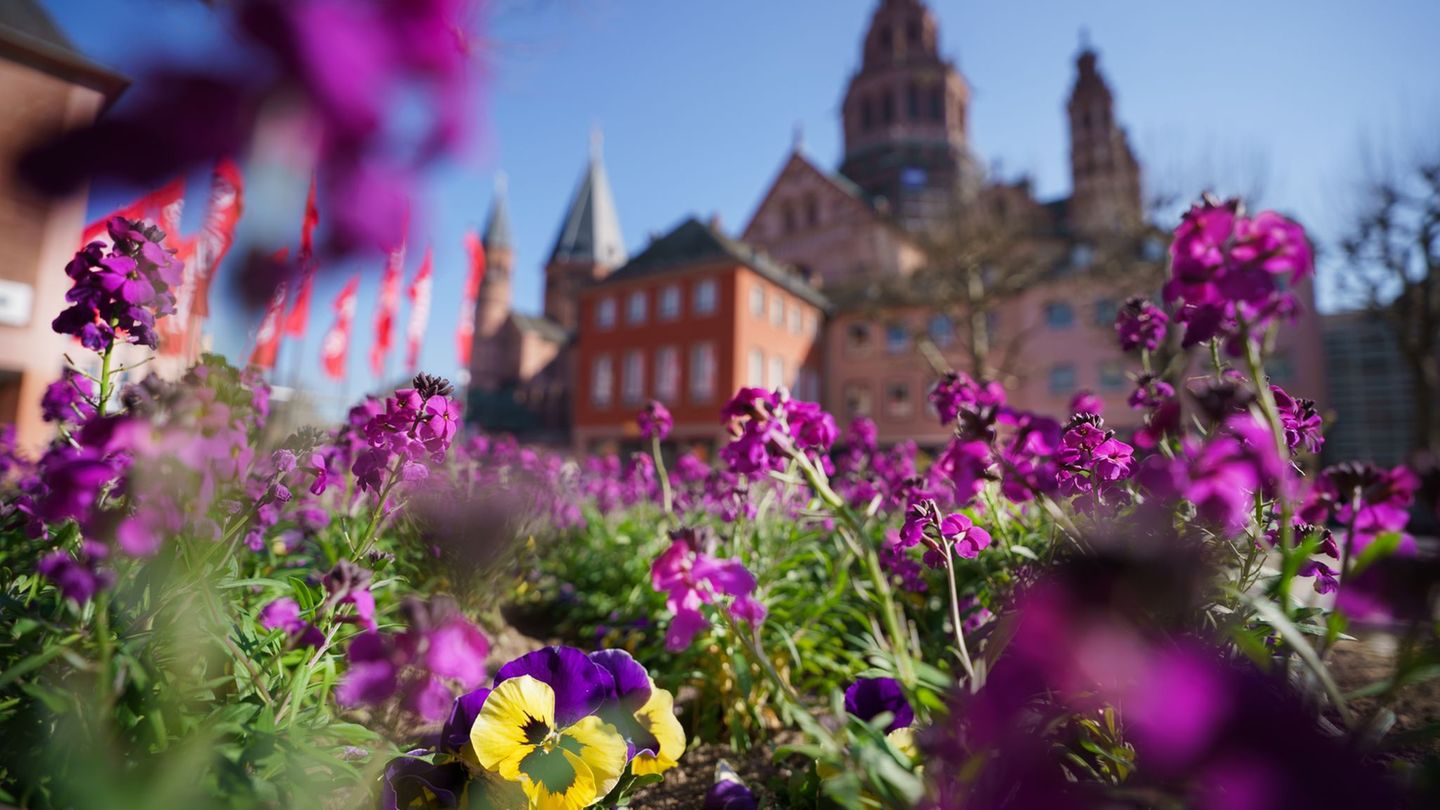 Wetter: Frühsommerliches Wetter in Rheinland-Pfalz und dem Saarland