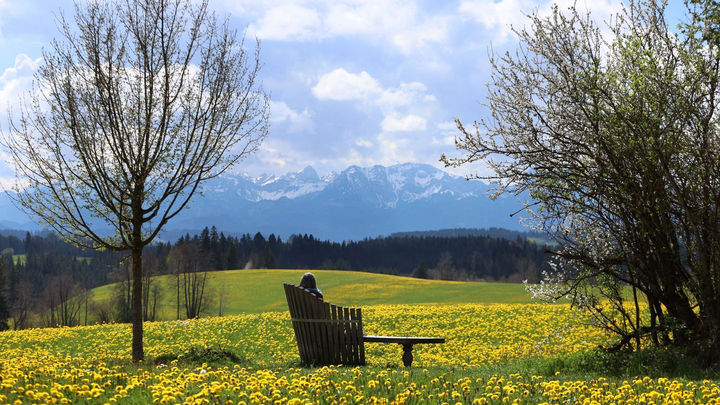 Wettervorhersage: Schöner Monatsstart: Maifeiertag wird sonnig und warm