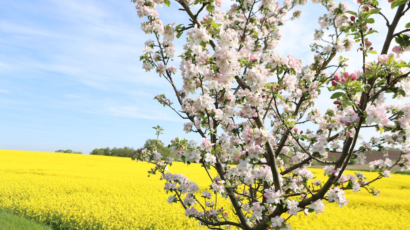 Wetter: Sonniger Maifeiertag mit bis zu 30 Grad