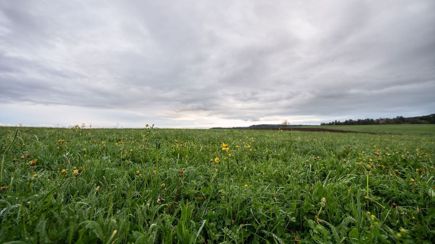 Wetterausblick: Nach viel Sonne und hohen Temperaturen kommt der Regen