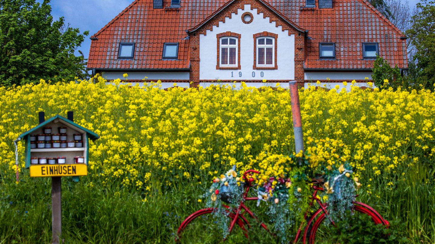 Meist kleine Betriebe: Immer mehr Ferienwohnungen werden online gebucht