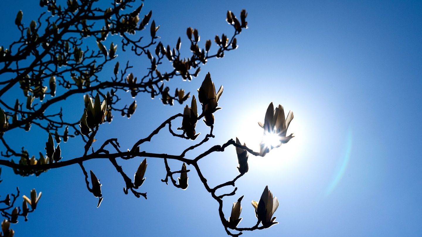 Wetter: Viel Sonne zum Wochenstart in Niedersachsen und Bremen