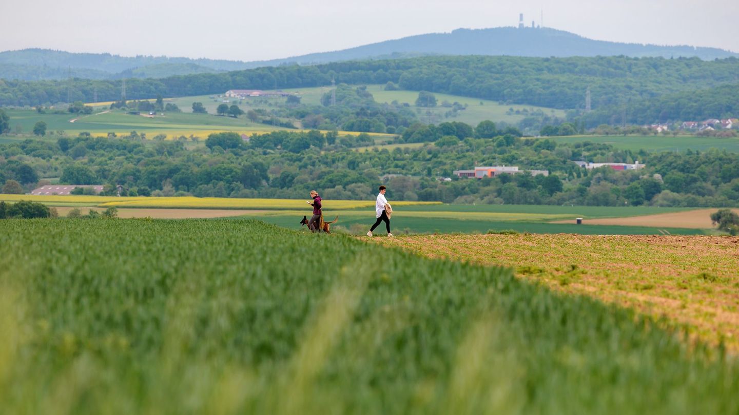 Wetter: Wärmer und sonniger zum Wochenbeginn in Hessen