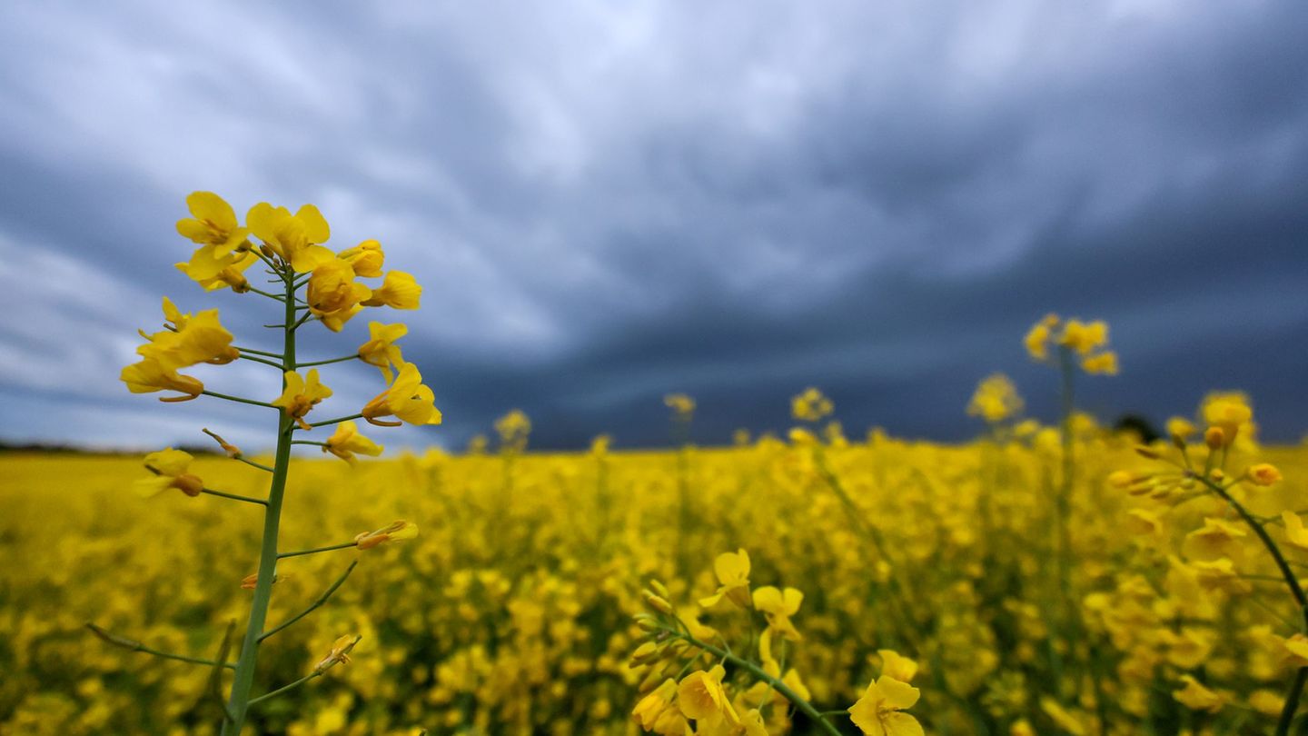 Wetter: Sonniger Wochenstart – Schauer und Gewitter folgen