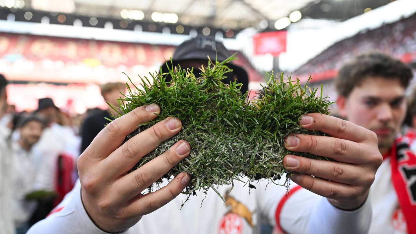 Aus dem Müngersdorfer Stadion: Fans verkaufen Kölner Aufstiegsrasen im Internet