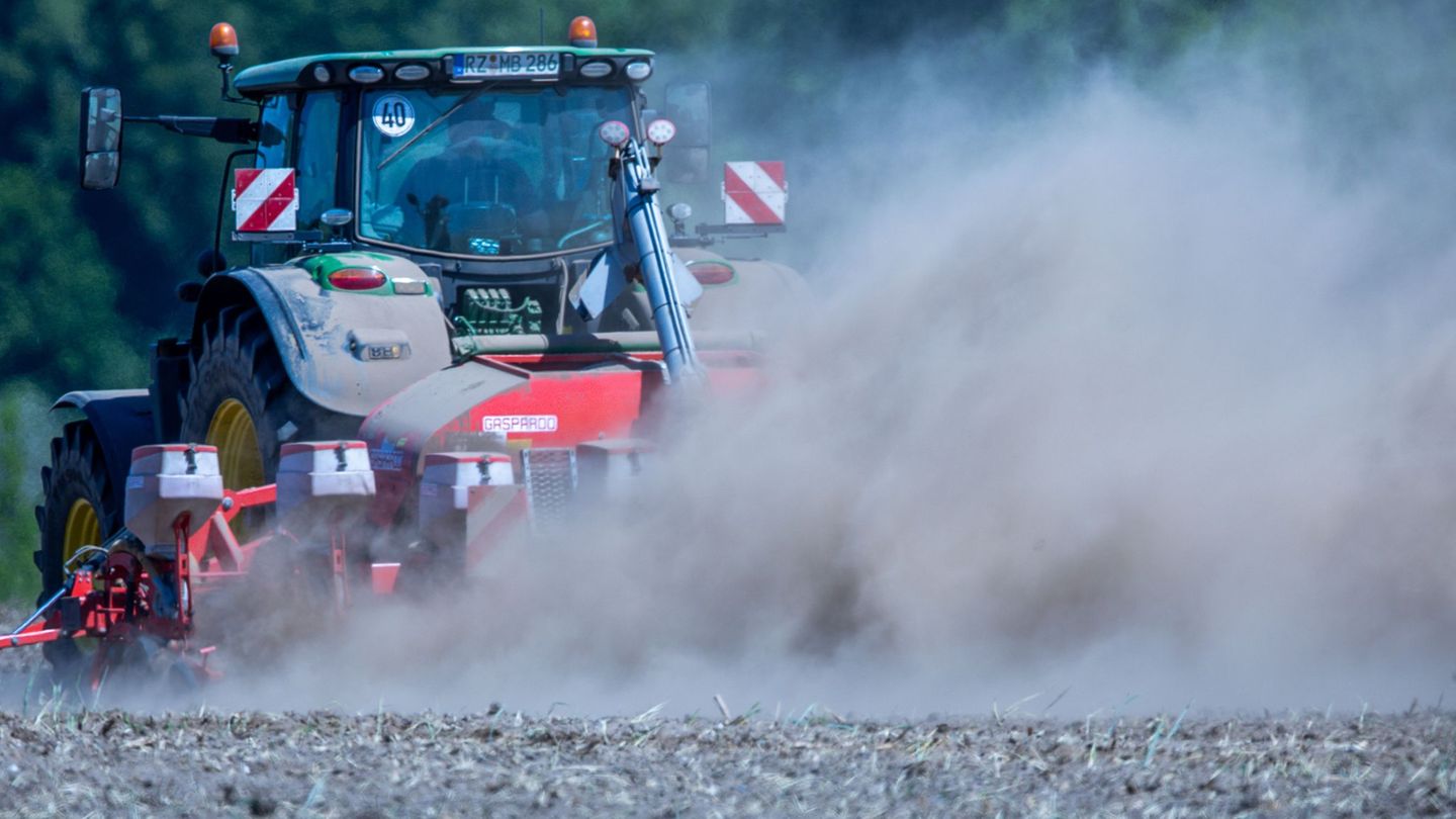 Dürre: Trockenheit: Agrarminister stellt Bauern Hilfe in Aussicht