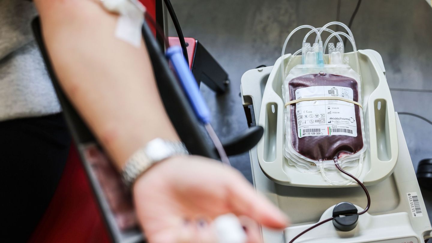 Leben retten: Gesundheitsministerin ruft zur Blutspende auf