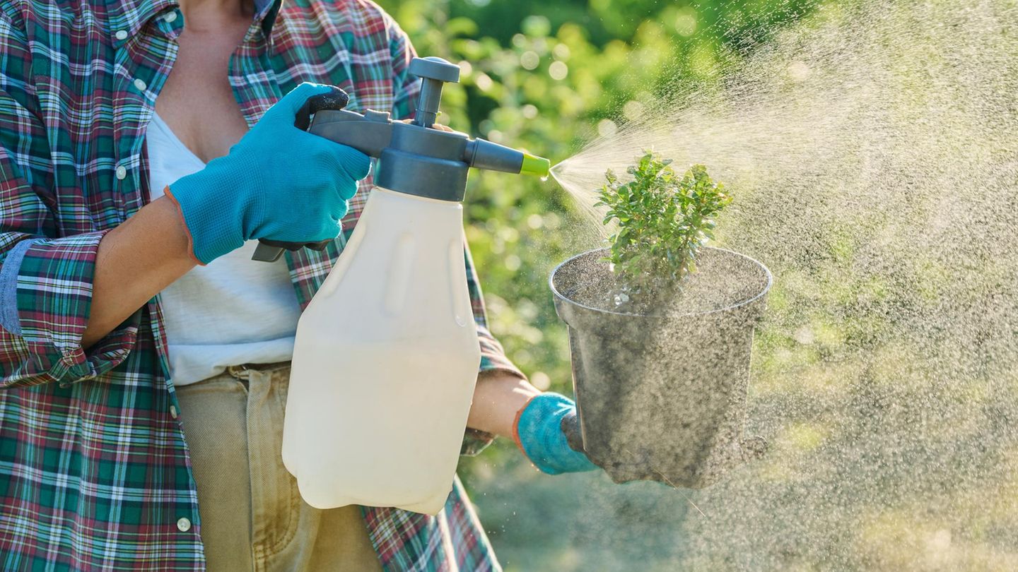 Kraut & Dübel: 46 Prozent Rabatt auf XenTari Bio Spritzpulver: Top Garten Angebote am Wochenende
