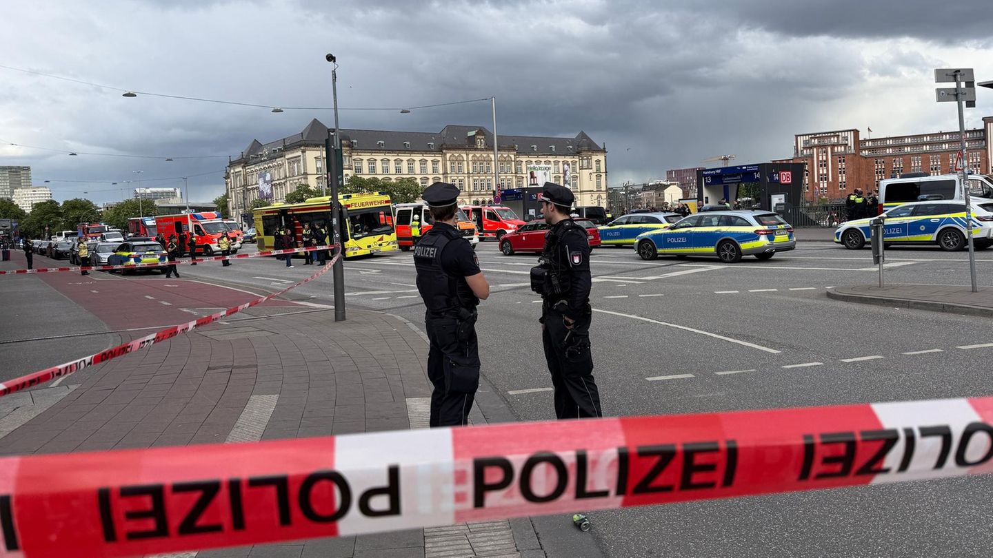 Nach Messerangriff: Bilder vom Großeinsatz am Hamburger Hauptbahnhof