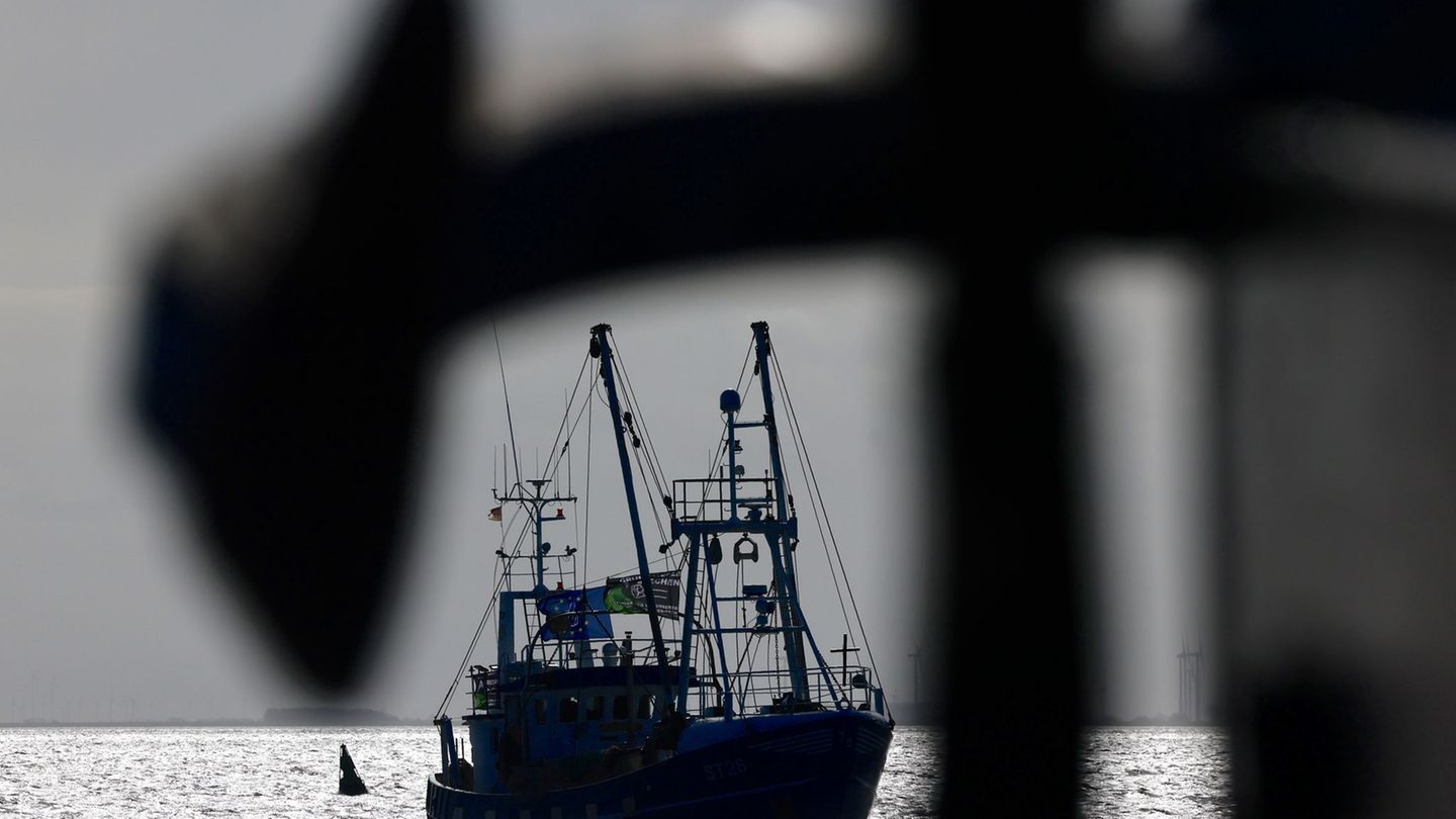 Naturschutz: WWF: Grundschleppnetze fangen viele Fische in Schutzgebieten