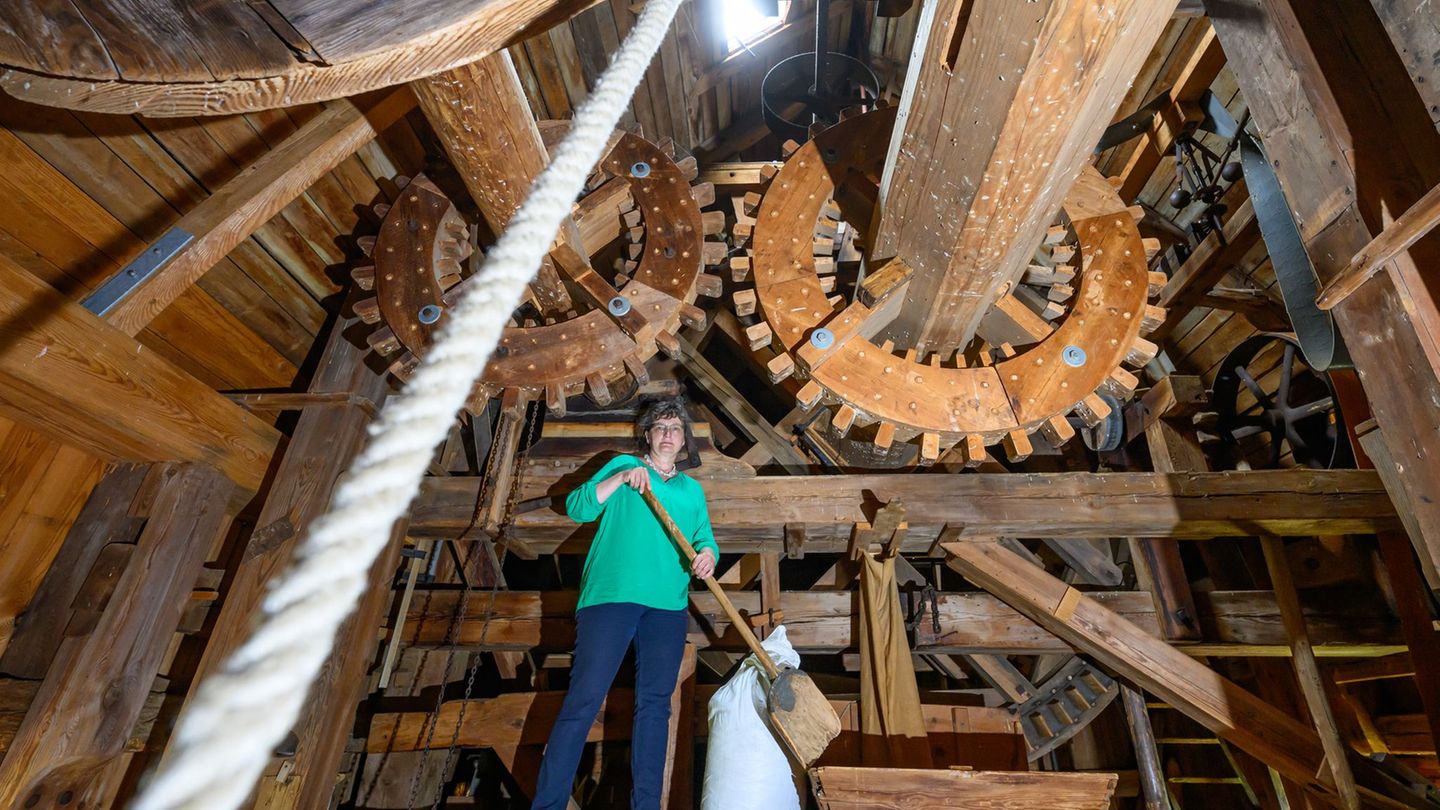 Mühlentag: Brandenburger Mühlen feiern Jubiläum