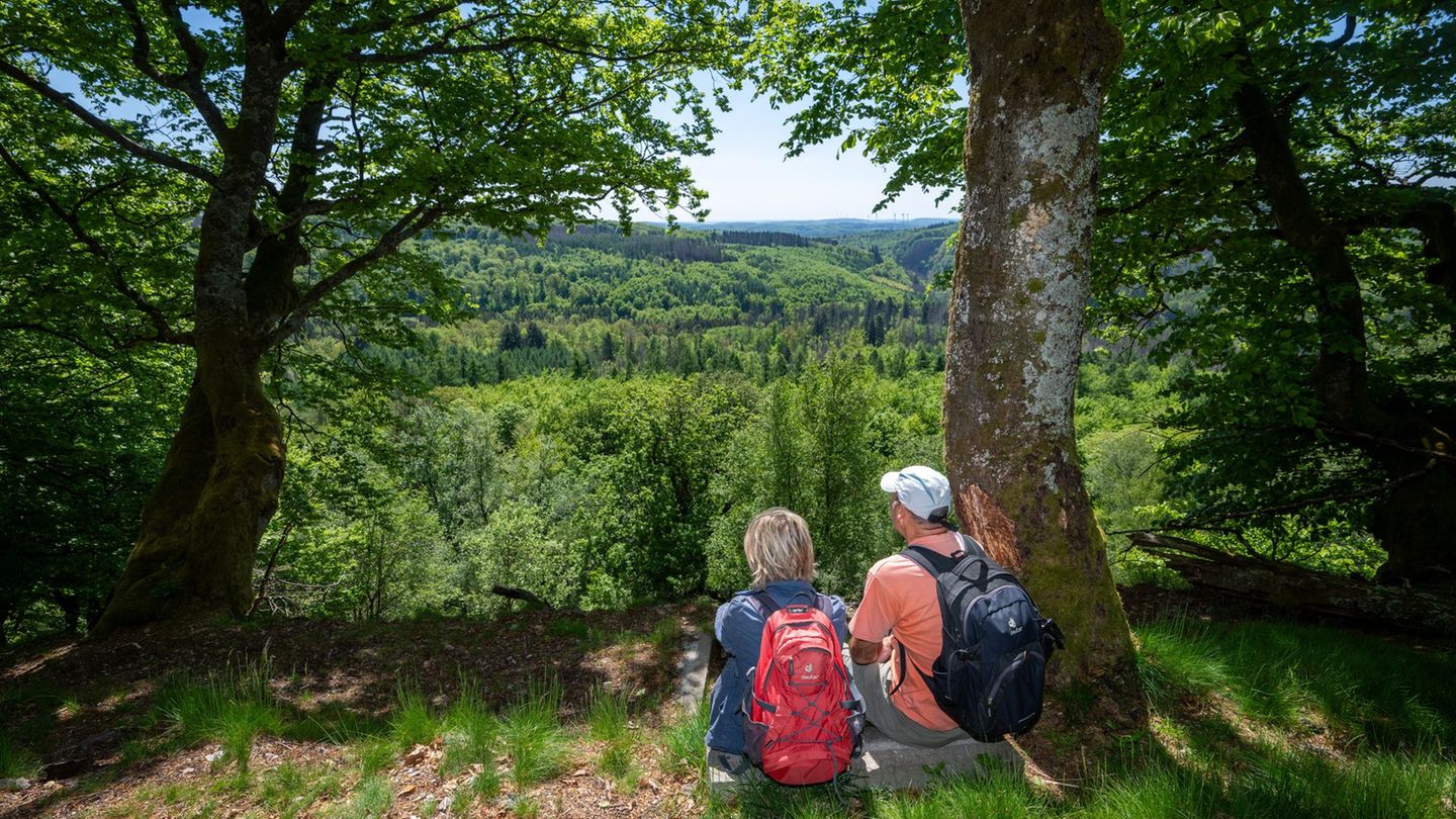 Nationalpark: Grüne: Jeder Schüler soll Nationalpark einmal besuchen