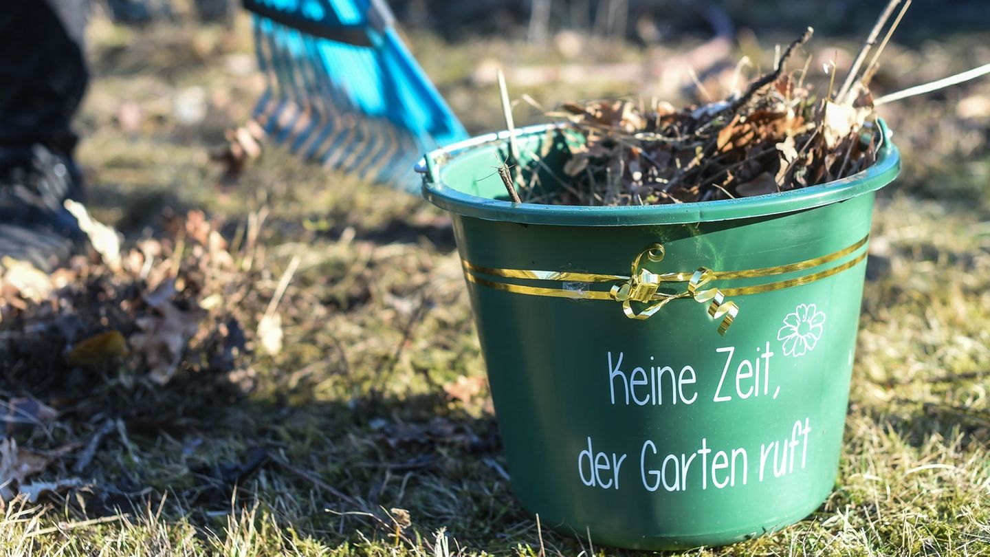 Stadtnatur: Tag des Gartens im Stadtpark Lichtenberg