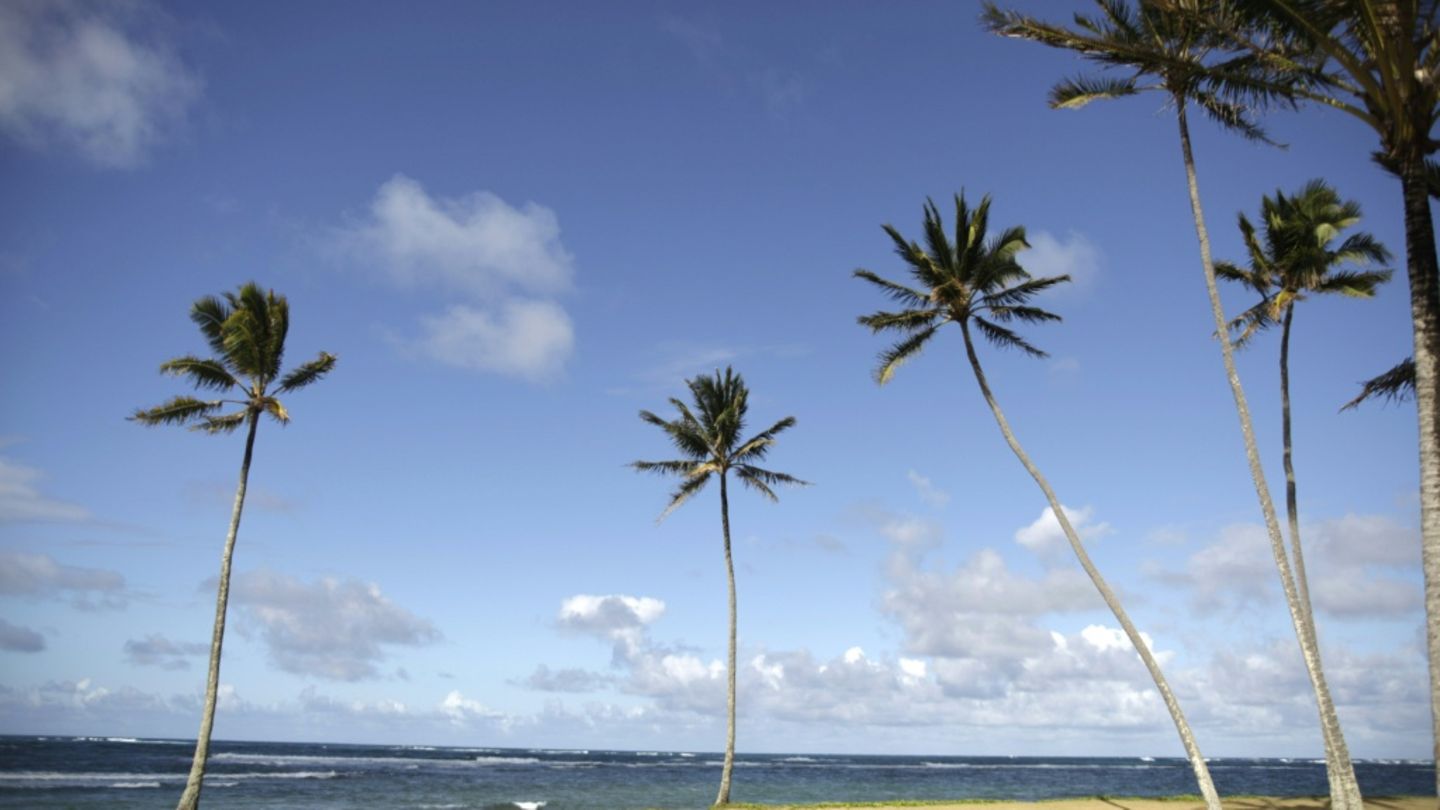 Studie: Unter Hawaiis Stränden verbirgt sich jede Menge Plastikmüll