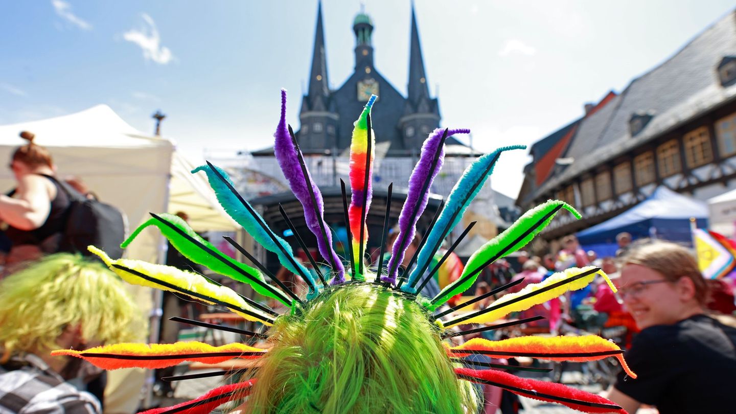 Harz: Mehr als 300 Menschen bei CSD in Wernigerode