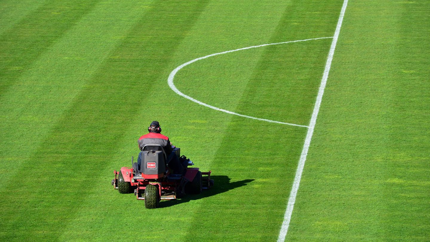 Spielfelder, Bahnen und Hallen: Geld für Sportstätten – Linke fordert Mehrausgaben vom Bund