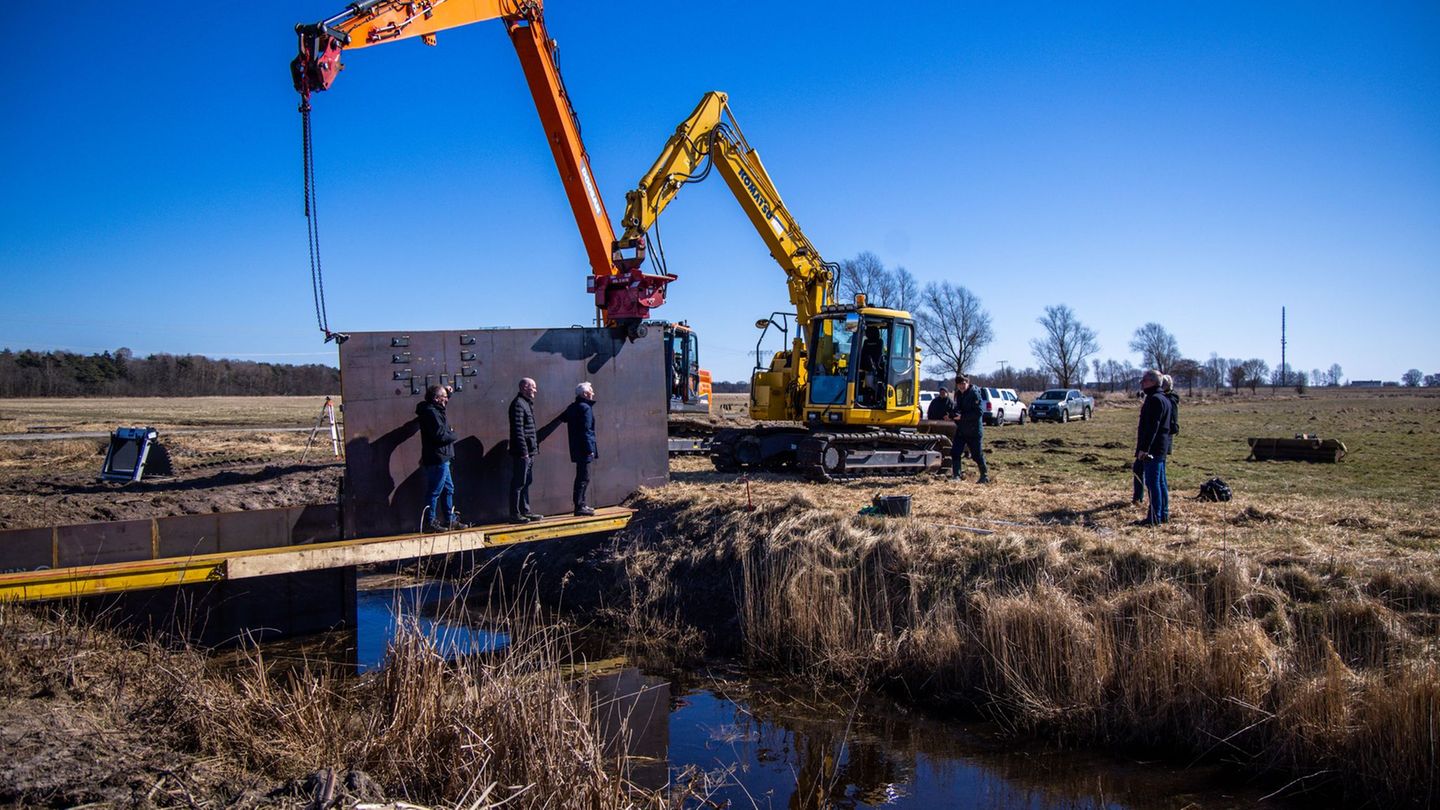 Klimaschutz: Landesrechnungshof: Land hat Moorschutz-Ziele weit verfehlt