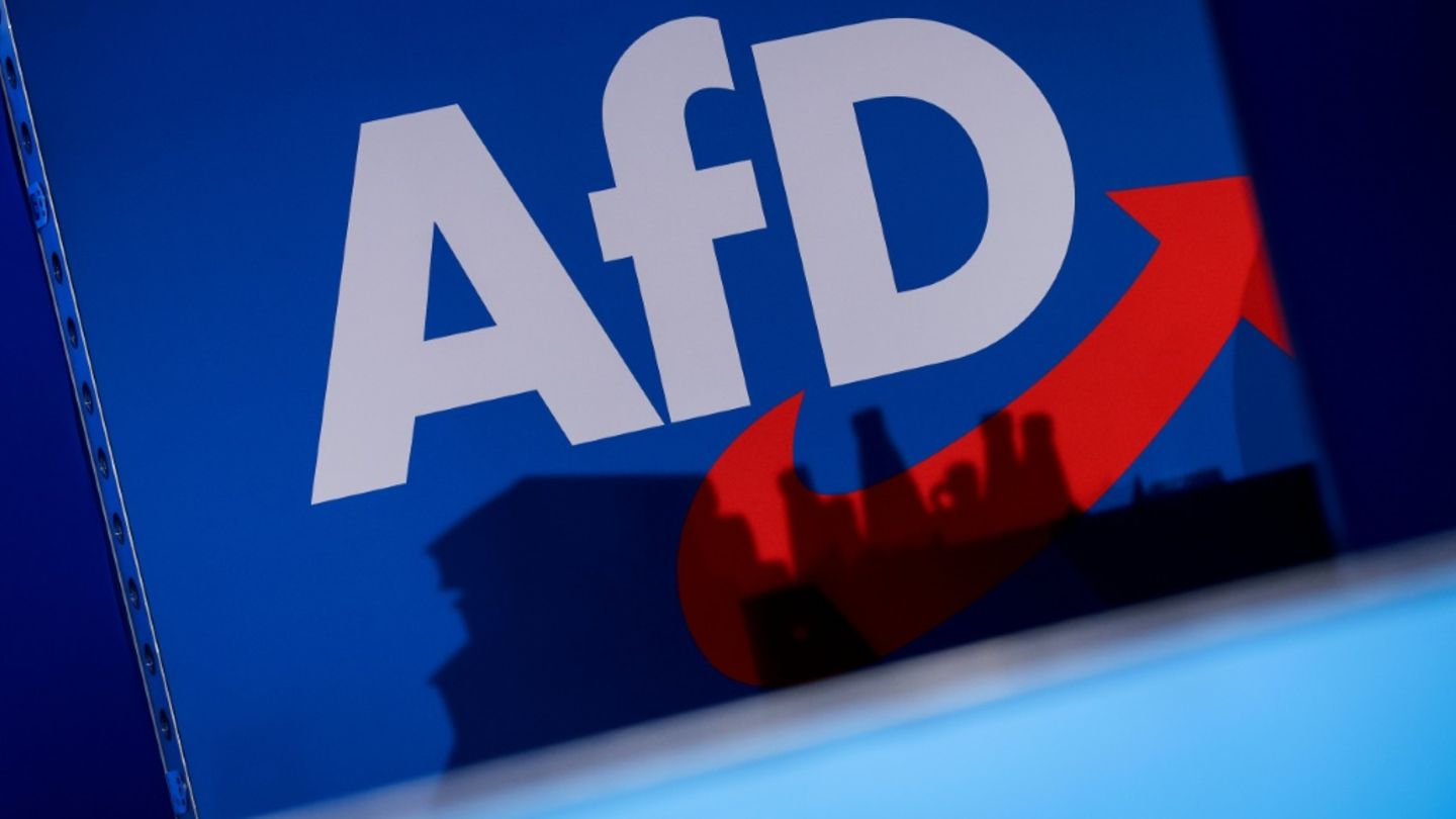 Grüne wollen AfD-Verbotsverfahren mit Bund-Länder-Arbeitsgruppe auf den Weg bringen