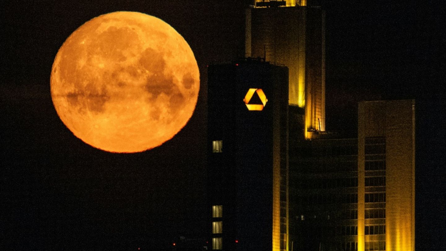 Ungewollte Übernahme durch Unicredit: Merz stärkt Commerzbank den Rücken