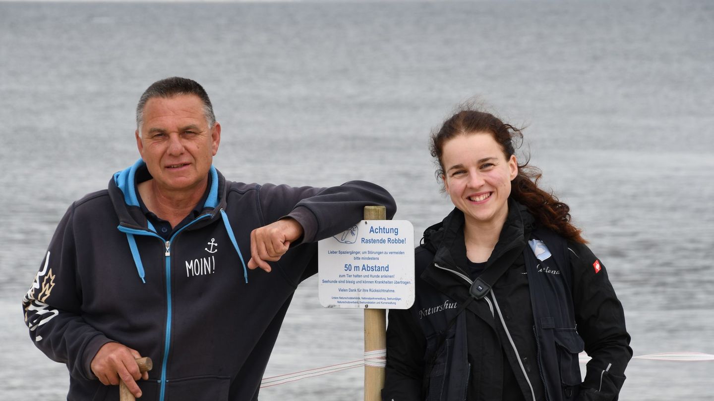 Tote Lämmer: Suche nach dem Sylt-Schakal startet jetzt früher