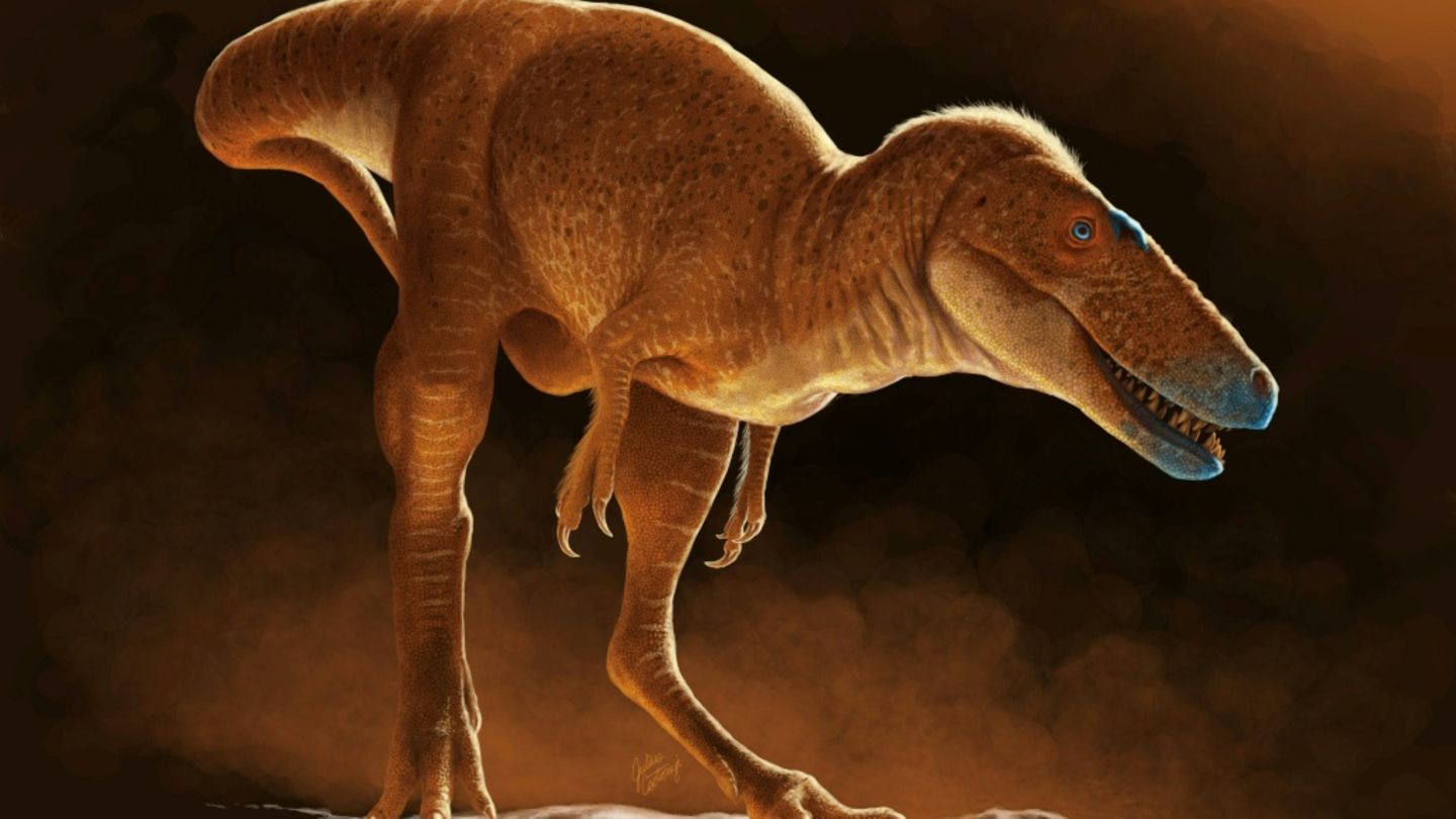 Vorfahre von T-Rex: Forscher bestimmen neue Saurier-Art