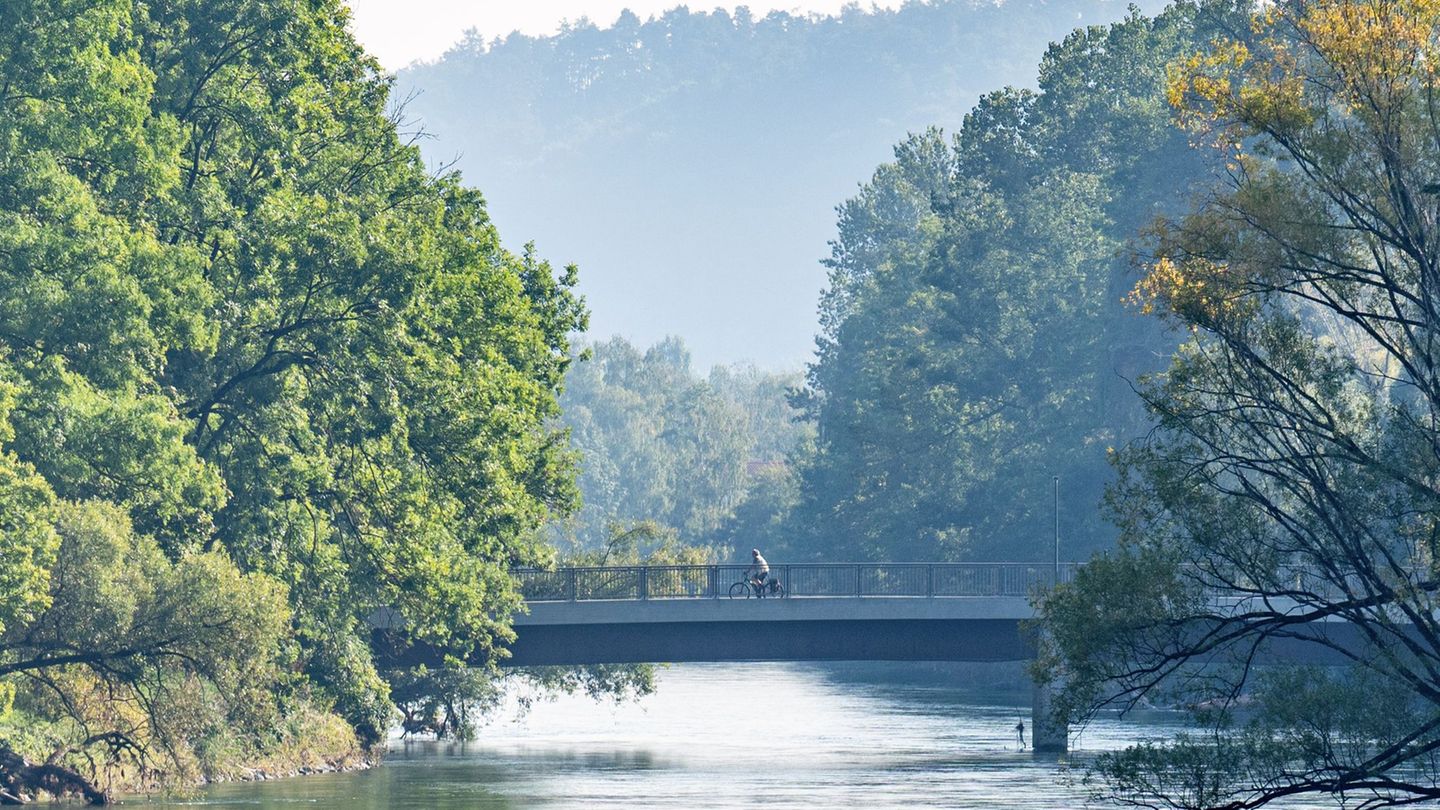 Naturschutzprojekt: Kleine Streber wieder da: Seltene Fische in Isar ausgesetzt