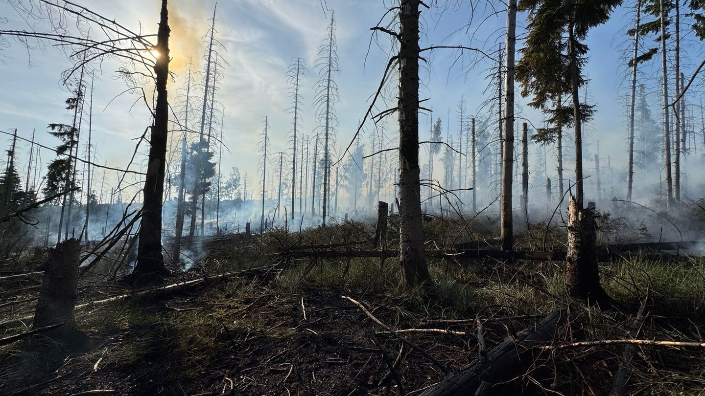 Wald brennt: Feuerwehr bekämpft Waldbrand am Möhnesee