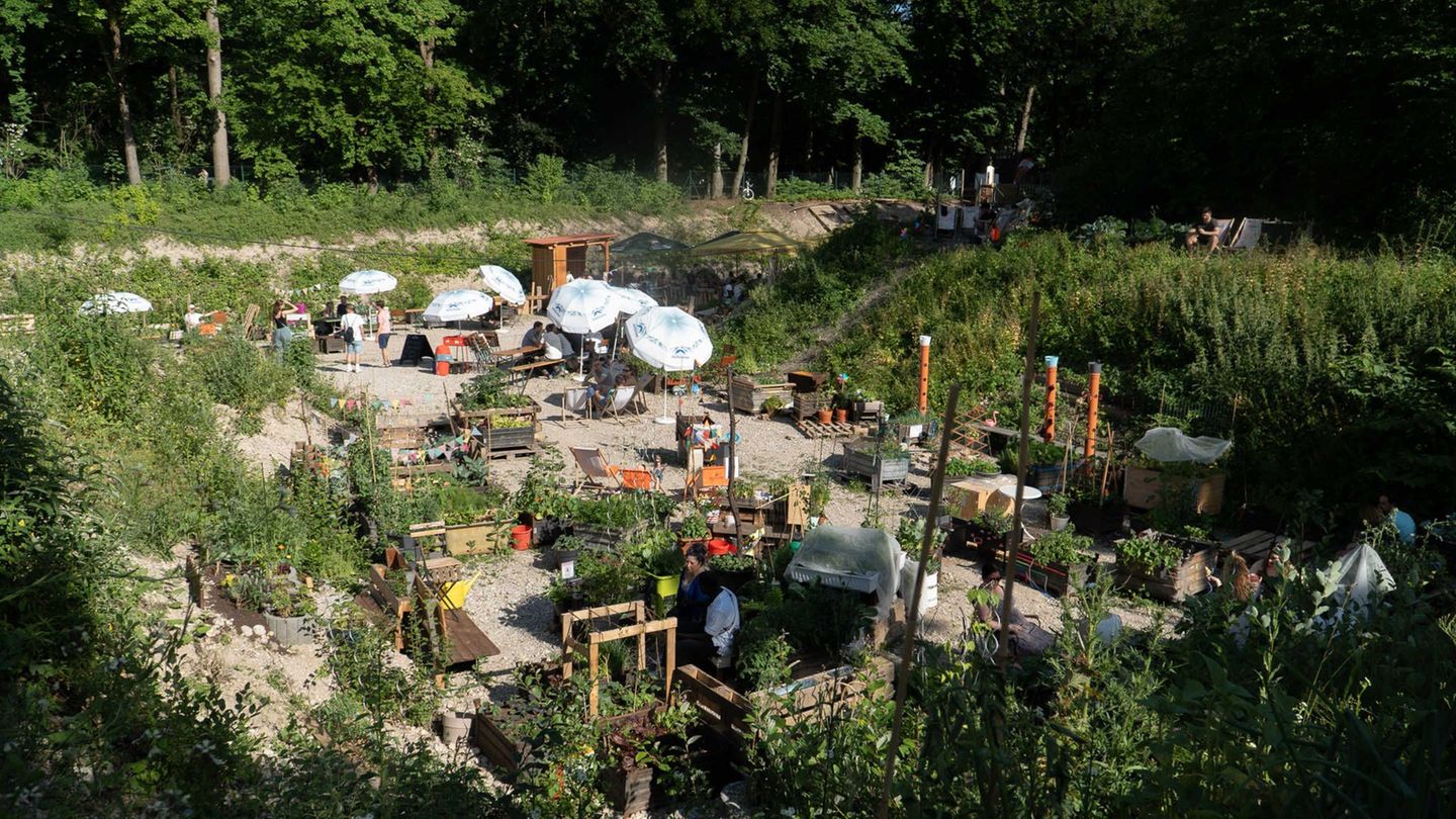 Gastronomie: Wie ein Biergarten in der Baugrube dem Preisdruck trotzt