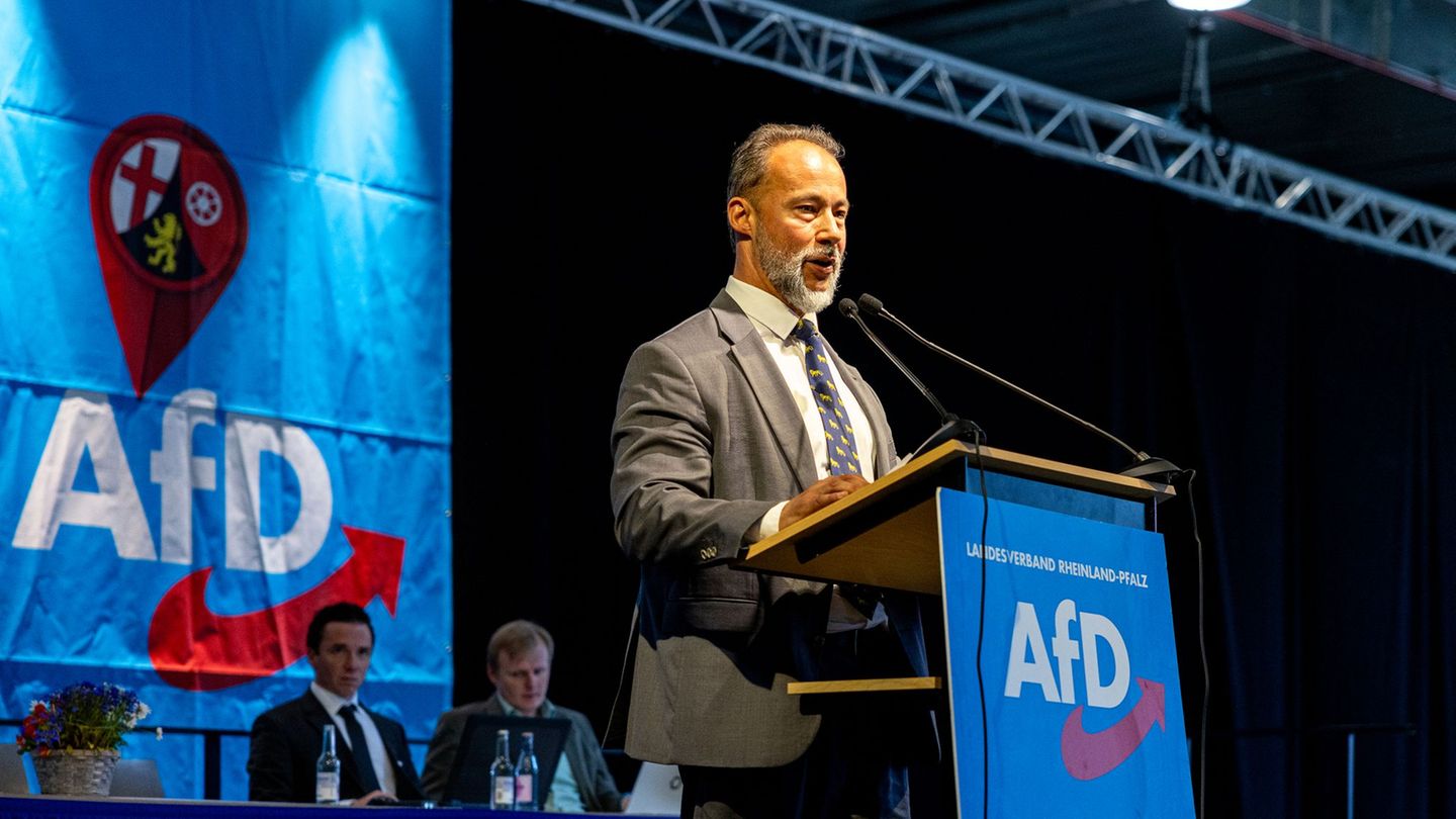 Landtagswahl: AfD-Chef Bollinger ist Spitzenkandidat für die Landtagswahl