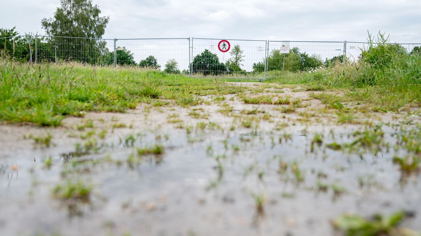 Reptil gesichtet: Alligator-Suche in Vechta geht weiter