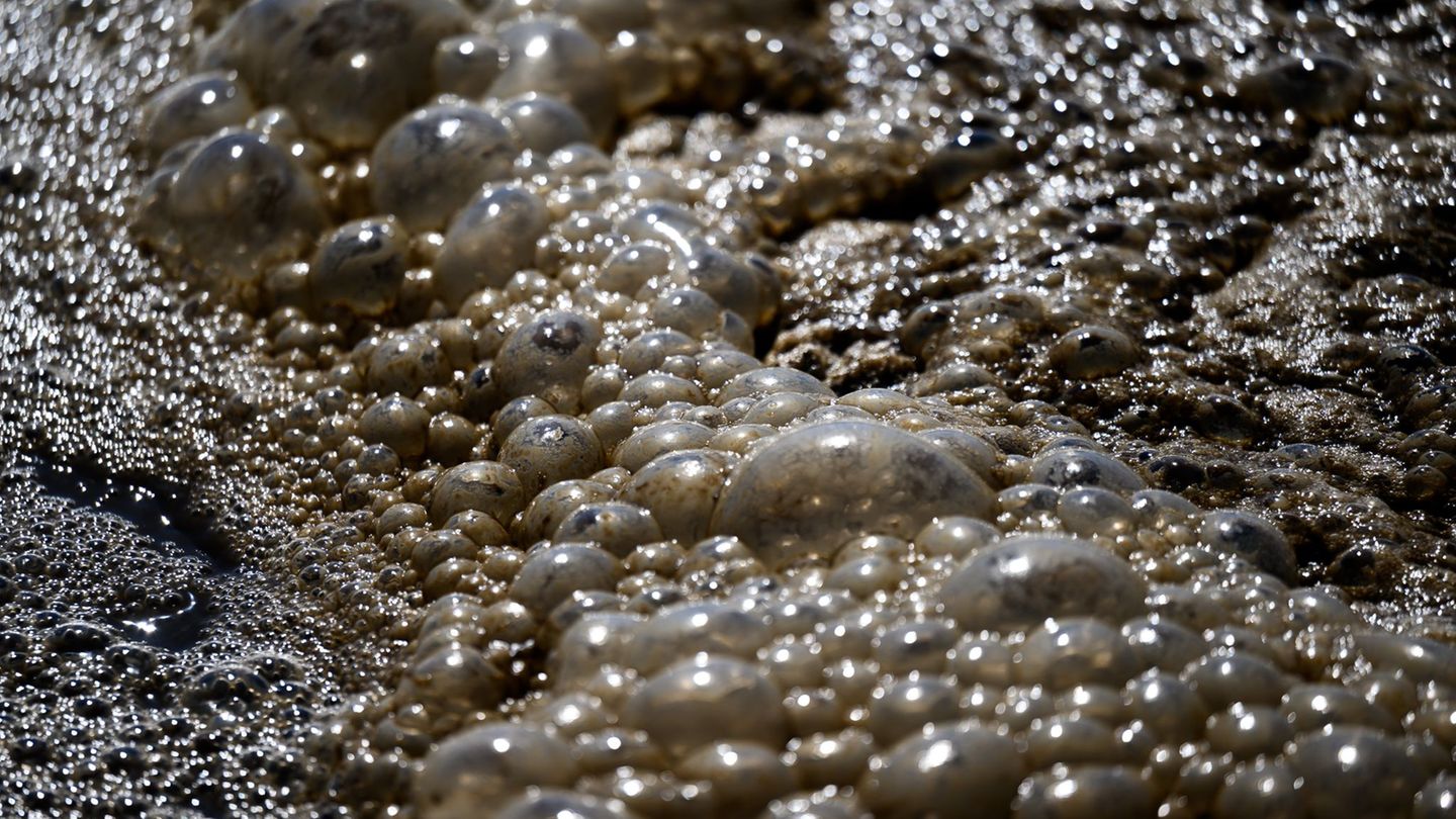 Havarie: Abwasser strömt aus Schacht im Eichsfeld