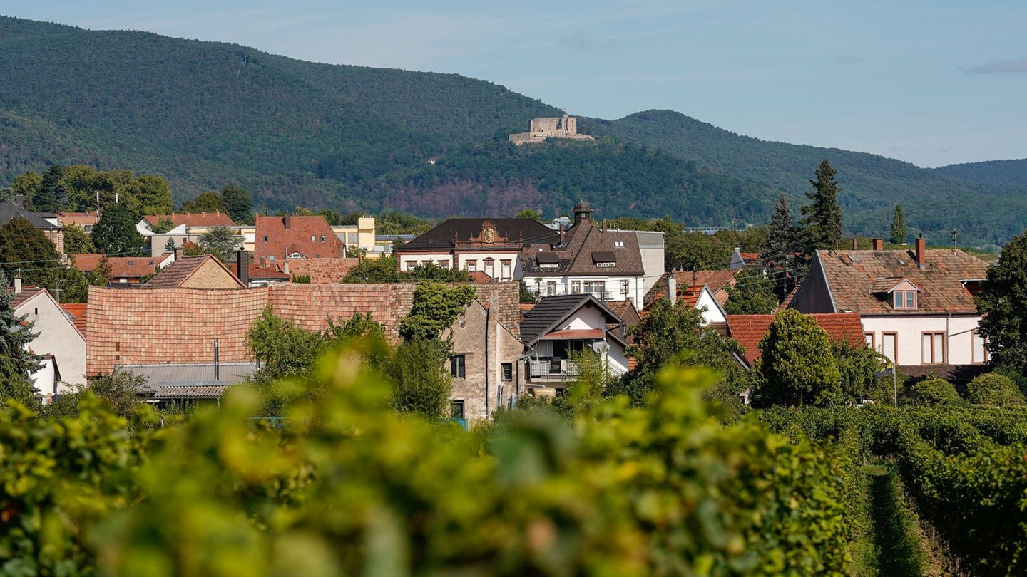 Ergebnis wohl noch am Abend: Wahlsonntag in Neustadt – Wer übernimmt das Rathaus?