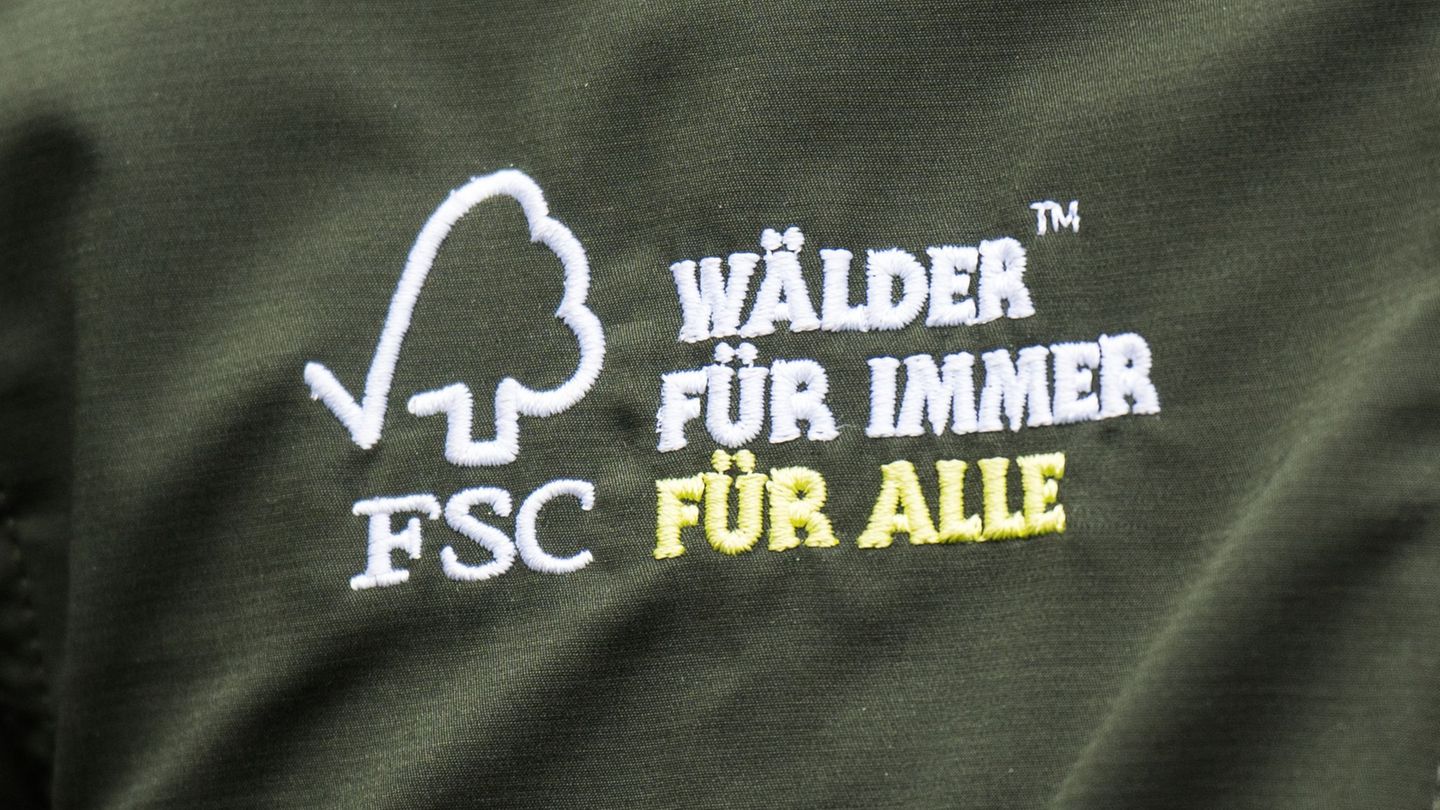 Umwelt: 33 Prozent des Waldes im Land sind FSC-zertifiziert