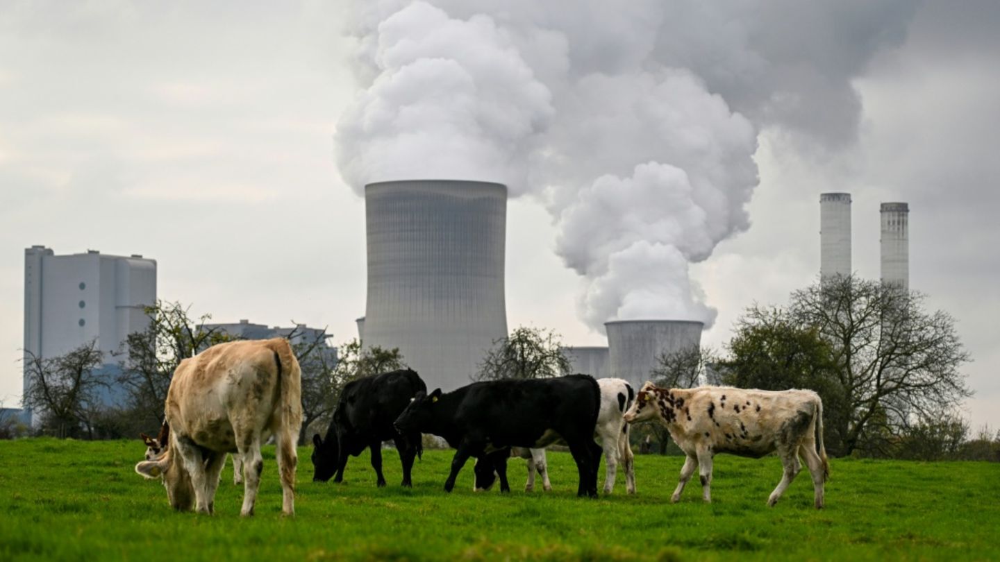 Organisationen fordern mehr Anstrengungen bei Klimaschutz zu Start von UN-Konferenz in Bonn