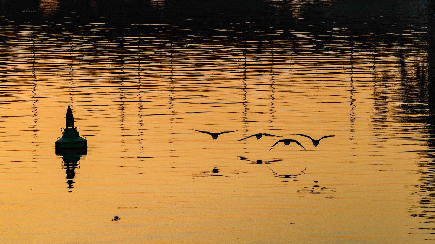 Wetter: Sonniges Wetter für Hessen erwartet