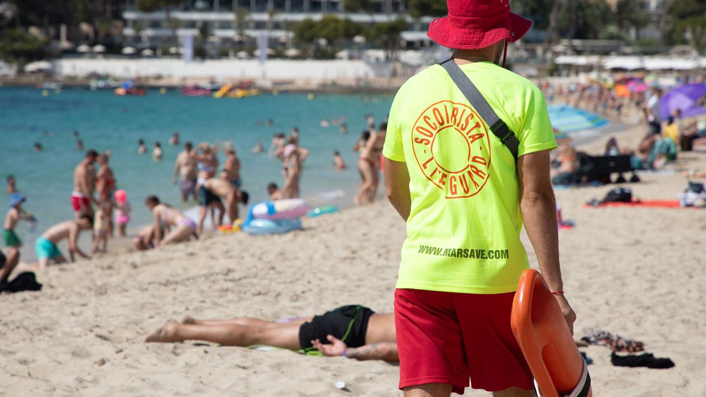 Meere: Rochen verletzt Jungen auf Mallorca
