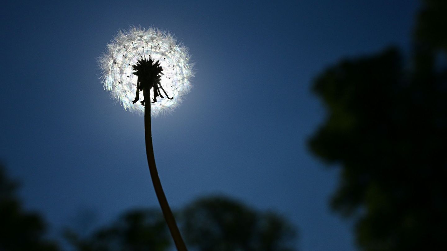 Wettervorhersage: Sonne und bis zu 30 Grad für Berlin und Brandenburg