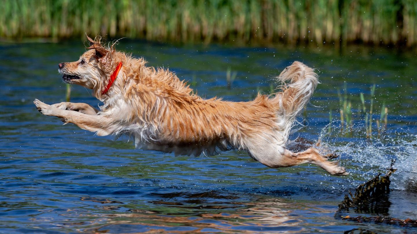 Wetter: Bis zu 31 Grad: Eine Woche voller Sonnenschein in Hessen