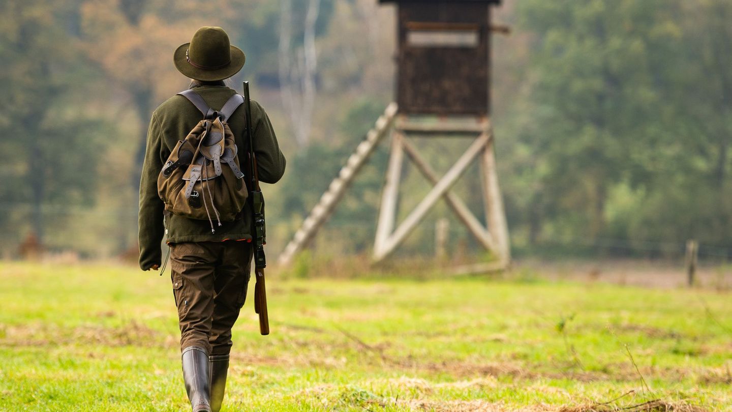 Umwelt: Von Wolf bis Wald – braucht es ein neues Jagdgesetz?