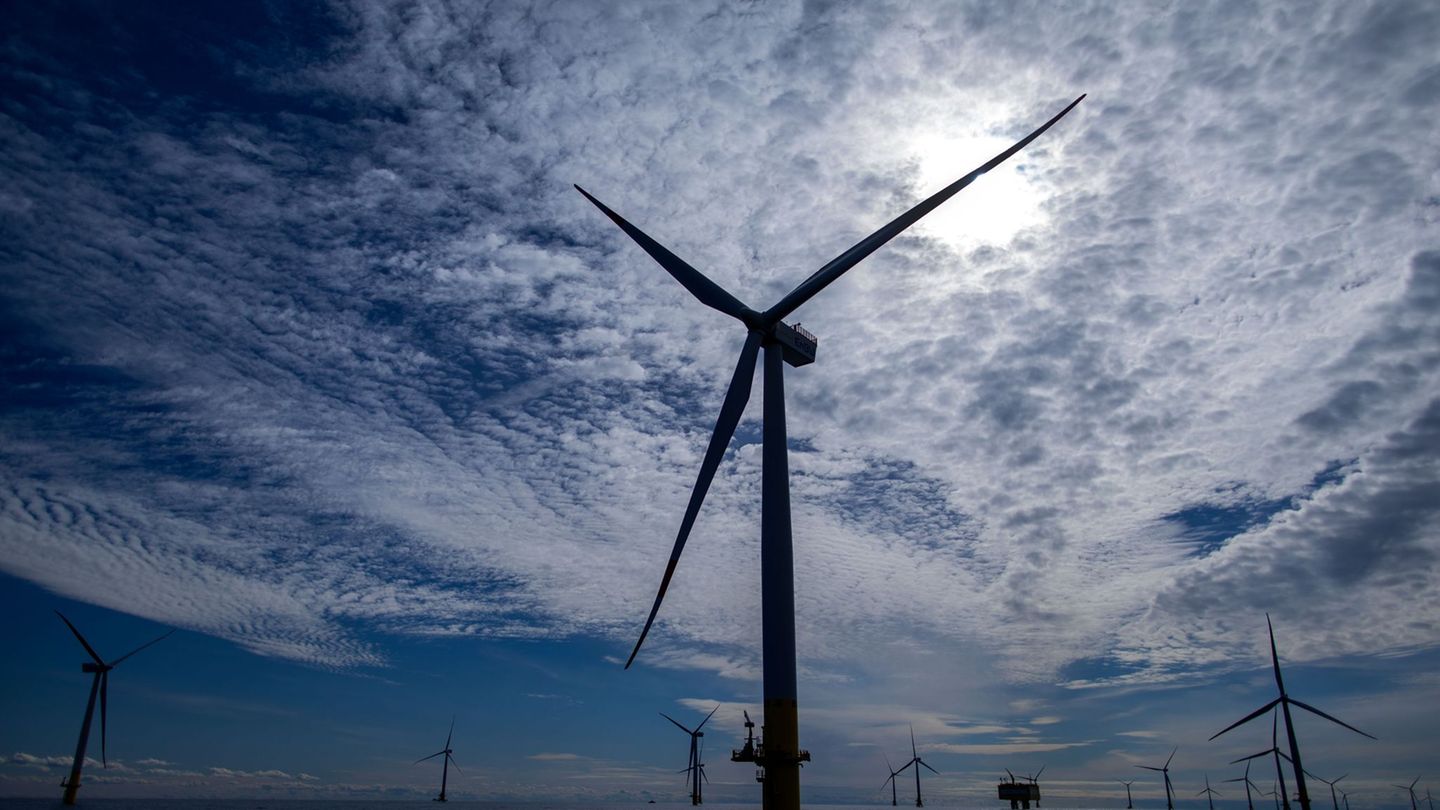 Windenergie im Meer: Offshore-Windfläche in Nordsee an Total Energies versteigert